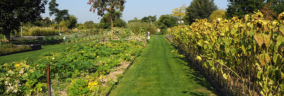 Jardin Botanique (c) Bordeaux Métropole